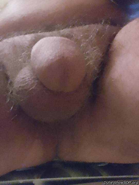 Adult image from Dulle