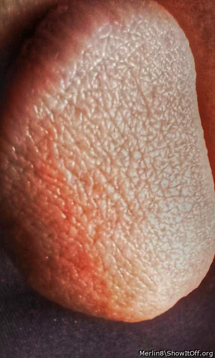 Adult image from Merlin8