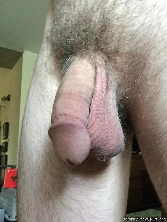 Great looking hairy cock.