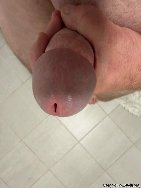 Great looking plump gland head.  I can just imagine how grea