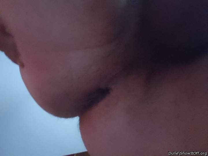 Adult image from Dulle