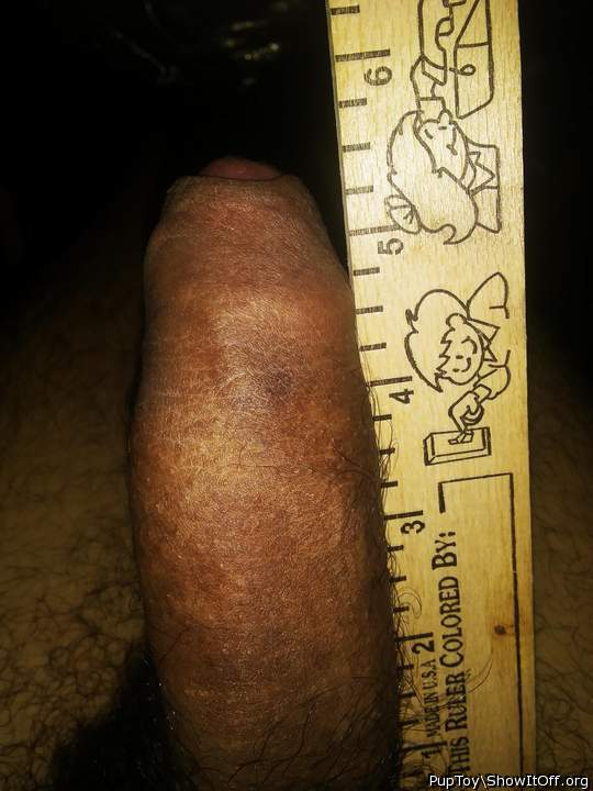 Adult image from PupToy