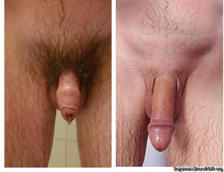 Flaccid v erect....bush v smooth..nice  