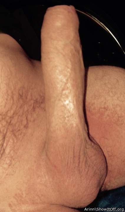 Adult image from Arinn