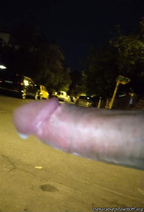 My naughty public knob!