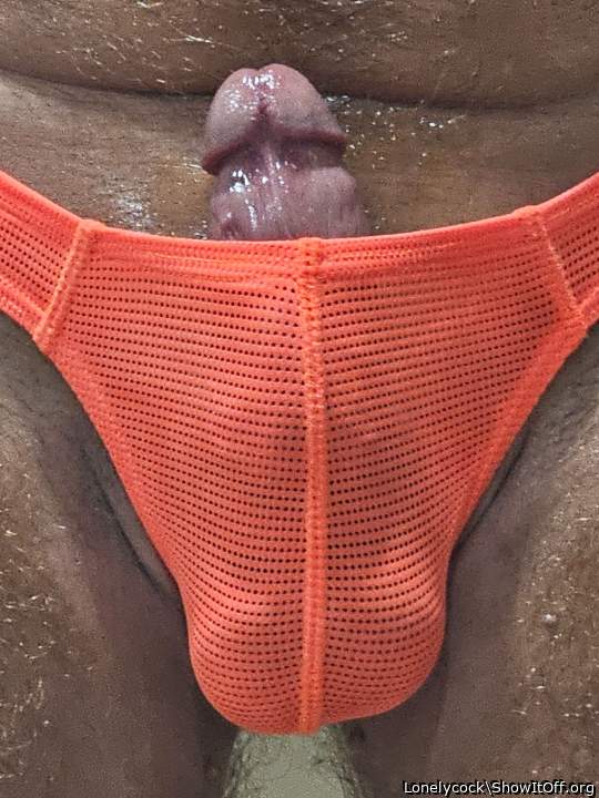 Adult image from Lonelycock