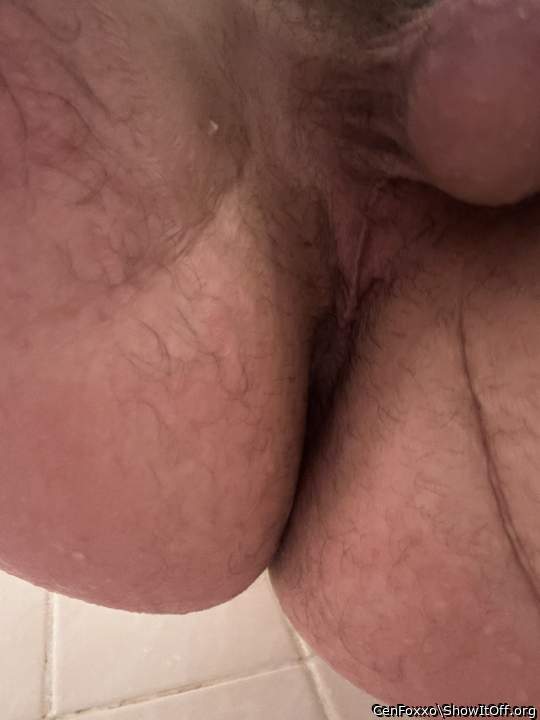 Adult image from CenFoxxo