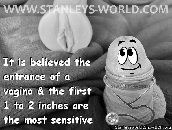 Hope ffor The Little Guys