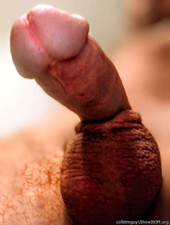 Adult image from colbtmguy