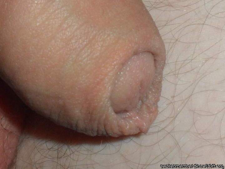 beautiful uncut penis...and in closeup!  