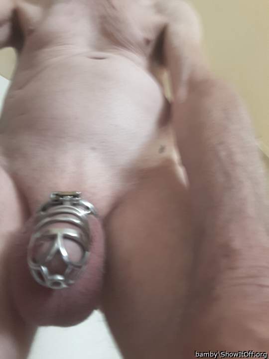 Adult image from bamby