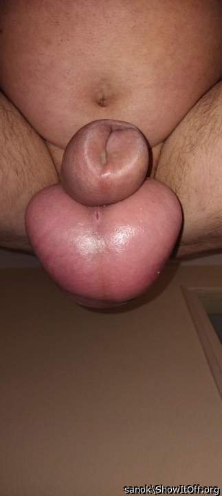 Adult image from sanok