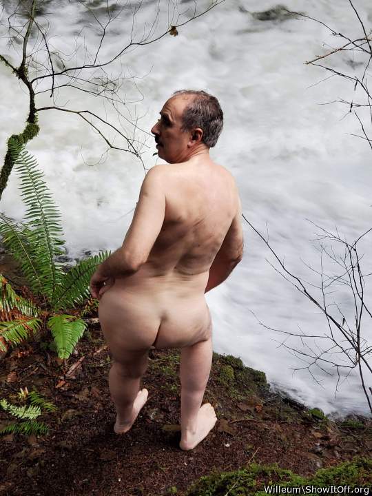 Adult image from Willeum