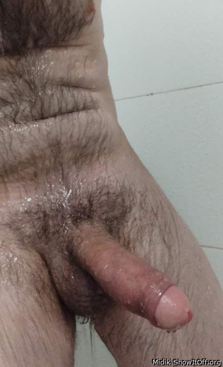 Adult image from Midik