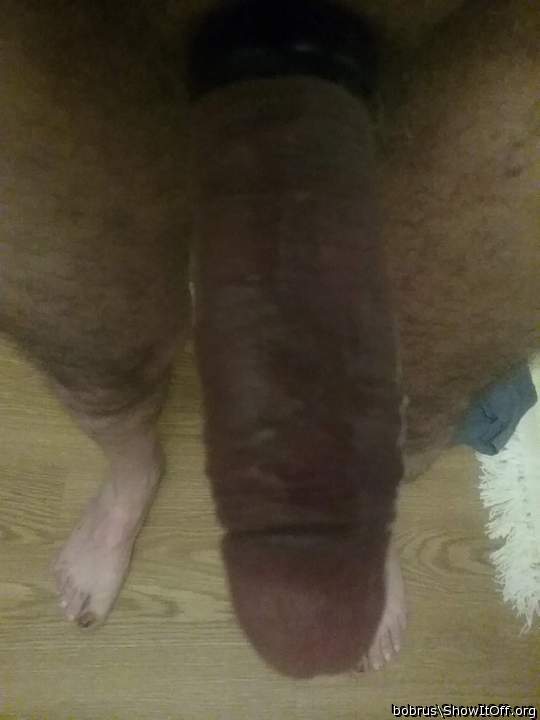 Adult image from bobrus