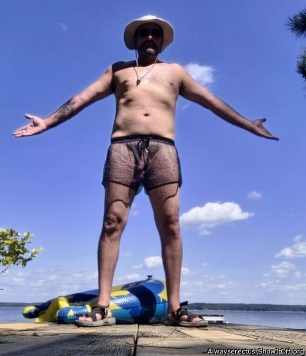 Adult image from Alwayserectus