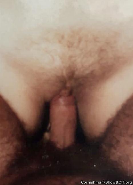 Adult image from Cornishman