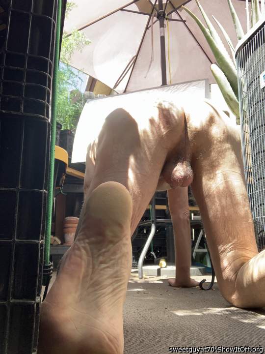 Adult image from sweetguyat70