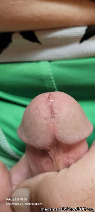 Adult image from megaman10