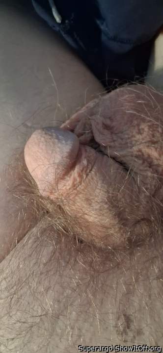 Adult image from Superargo