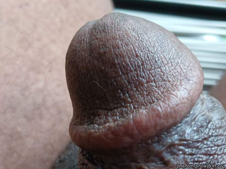 Adult image from phenom