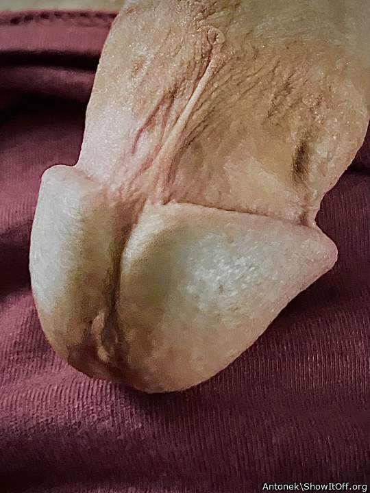 Adult image from Antonek