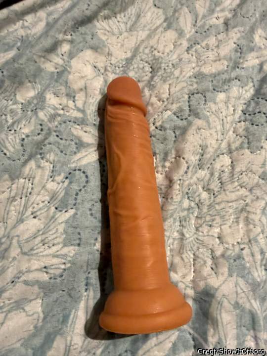 Adult image from Gregf