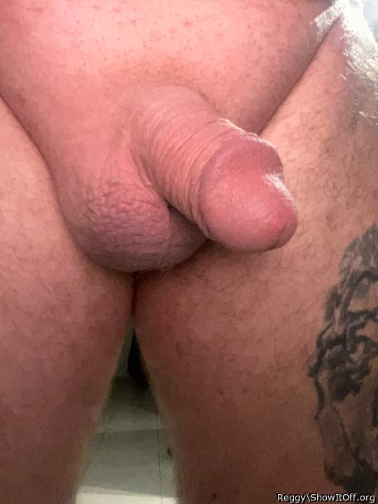 Adult image from Reggy
