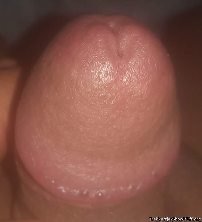 Adult image from Trekkertje