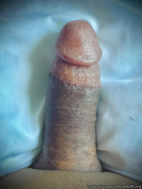 Nice looking cock! I've always wanted to play with a nice th