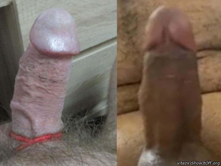 Vitezx cock vs Rikan420 cock