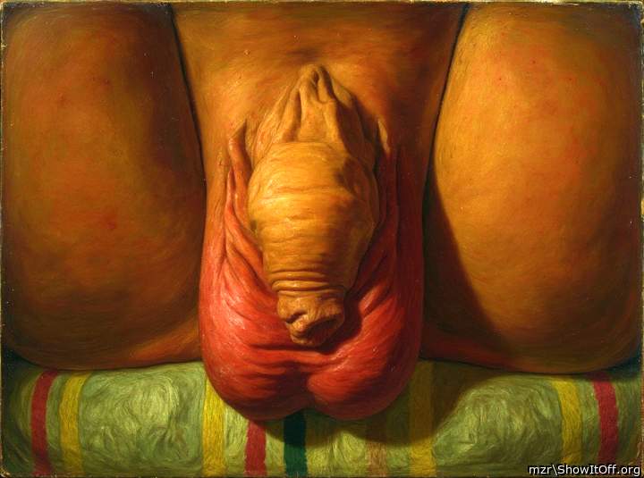 The image a close-up of male uncut penis and scrotum. The foreskin wrinkled. Art