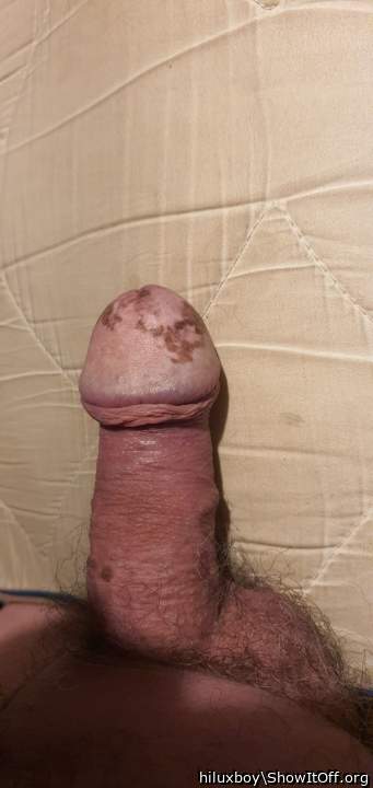 Adult image from hiluxboy