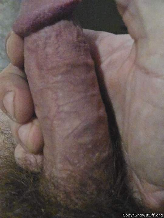 Adult image from Cody