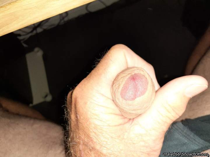 Adult image from male056