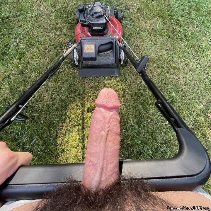 Mowing the front yard