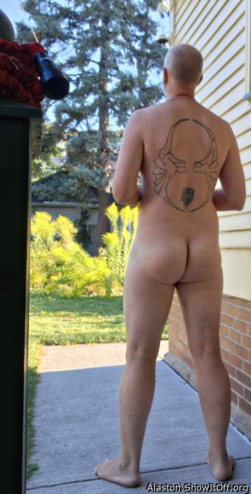 Adult image from Alaston