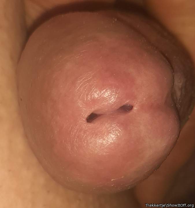 Adult image from Trekkertje