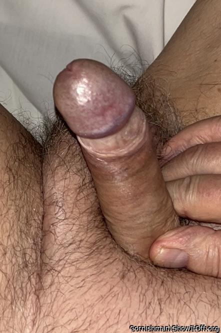 Adult image from Cornishman