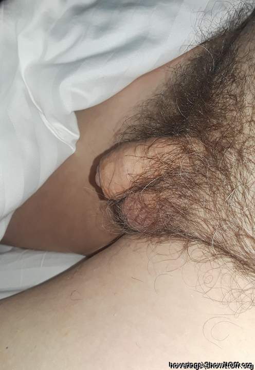 Nice hairy cock 