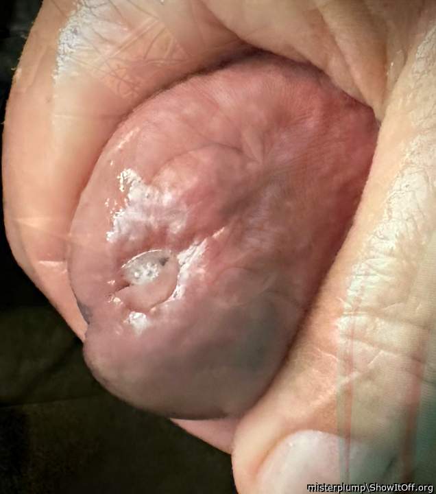 Adult image from misterplump