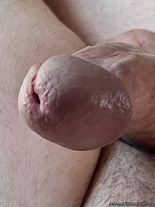 Adult image from Antonek