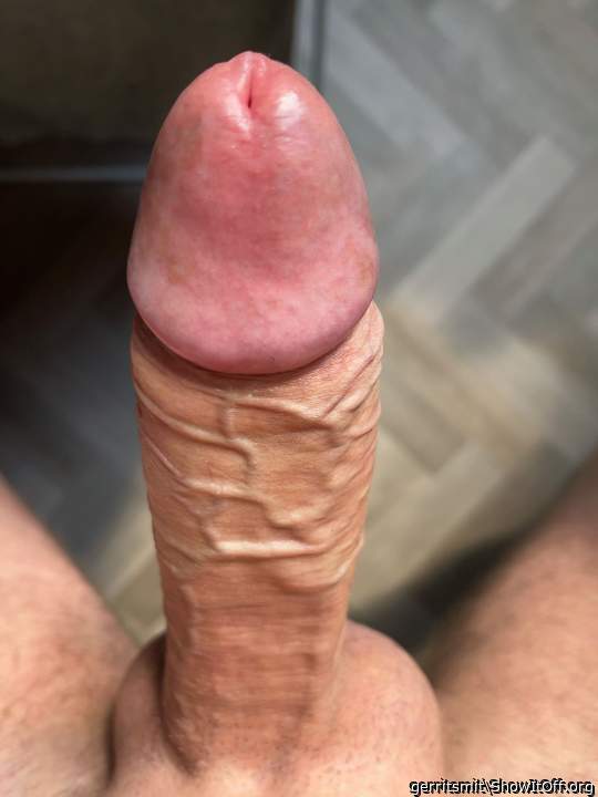 Adult image from gerritsmit
