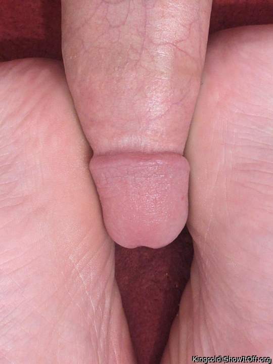 Adult image from Kingcold