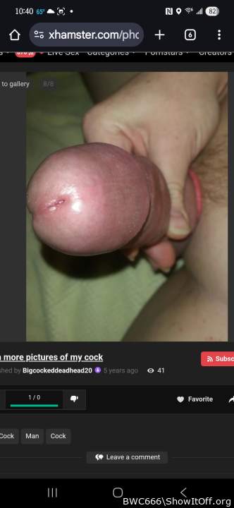 Adult image from BWC666