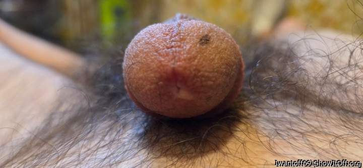 Adult image from Iwantoff69