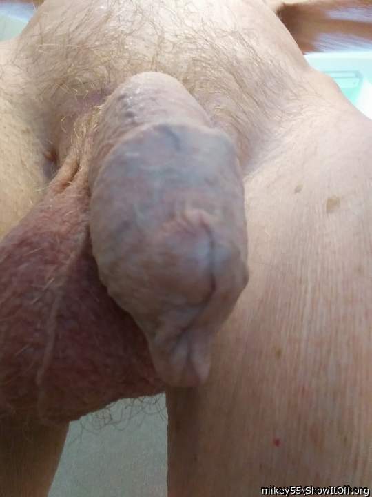 Glad you like my uncircumcised penis!!!