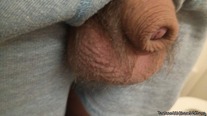 Adult image from Tnelson88