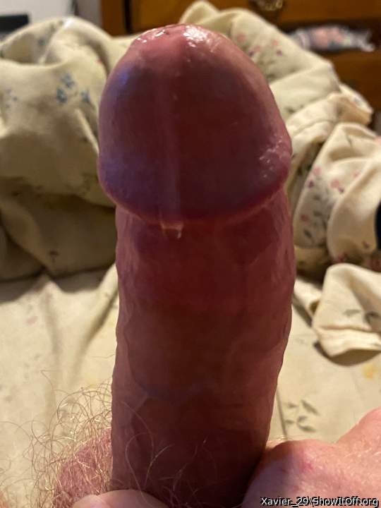 Adult image from Xavier_29