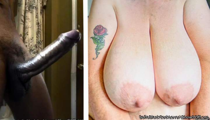 My lover`s erected cock escaped from his speedo.Now he always wears swim trunks